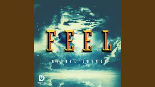 feel