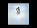Fourty - Weisser Rauch (VIZE REMIX) (Instrumental)