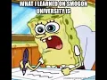 Smogon for Dummies How to use Smogon Forums and Post Anti-Toxapex Propaganda