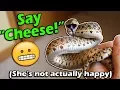 How to Read your Snake s Body Language