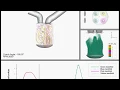 Multi-Frames time animation 3D and XY line-plot