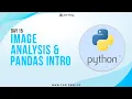 Image Analysis Pandas Introduction Day 15 Learn Python Python Tutorial Learnbay