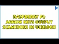 Raspberry Pi Arrow keys output scancodes in ucblogo 2 Solutions