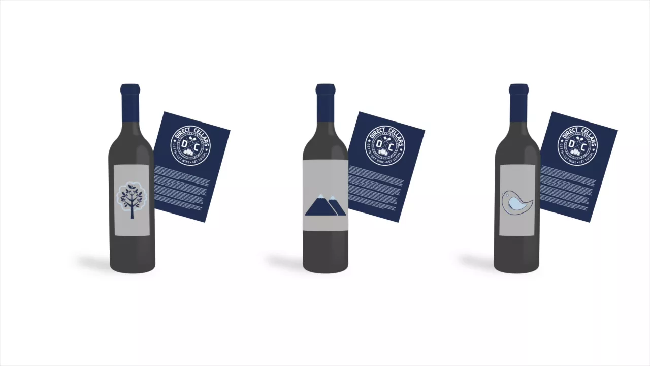 Direct Cellars Saas Video Animation