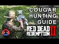 Red Dead 2 Cougar Hunting Guide
