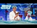 Lagu Woher kommt unser Trinkwasser? l GANZE FOLGE l WOOZLE GOOZLE