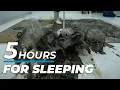 For Deep Sleep - 5 Hours Of Magic Carpet Cleaning To Enhance Sleep