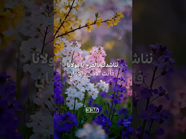 ⁣صباح الخير يا صاحب الزمان✨🌹#صباح_الخيرᅠ #يوم_الجمعة #الامام_المهدي  #الفرج #الظهور #الأمن #والأمان