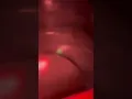 Son traps phone in the fridge