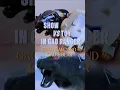 Download Lagu Show vs DX Toy: GaoBear \u0026 GaoPolar – Spot the design change? #megazord #sentai #gaoRanger