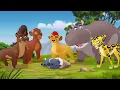 Hillary Scott - You Can Rest [The Lion Guard Music Video] AMV