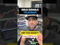 GOLD SIGNALS Telegram Are YOU Ready