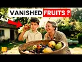 Download Lagu 25 Forgotten Fruits Your Grandparents Grew to Survive the Great Depression!