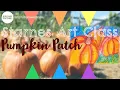 Pumpkin Patch Drawing