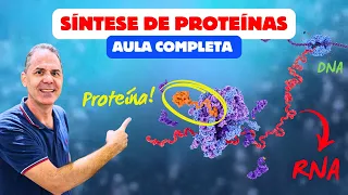 SÍNTESE PROTEICA: Transcrição e Tradução Aula Completa | Ciência Traduzida com Professor Hilton