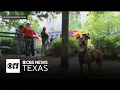 Pet adoption event set for Dallas