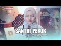 Download Lagu SANTRI PEKOK - FITRI ALFIANA | COVER VERSI REGGAE SLOW | CANDRA KIRANA |  \