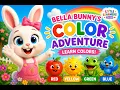 Learn Colors with Bella Bunny