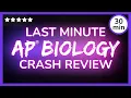2026 Last Minute Crash Review AP Biology Exam CRAM Study Session