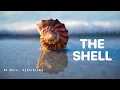 UNIX and Linux Shells