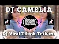 Lagu DJ CAMELIA VIRAL TIKTOK TERBARU || SUNGGUH TAKKAN KU BIARKAN ORANG LAIN MENJAMAH MU