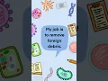 Download Lagu What Cell Am I? | #shorts #science #biology #biologynotes #biologyquiz #quiz #trivia #lablife