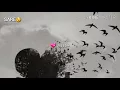 اسماعيل مبارك شوق 💝مع الكلمات