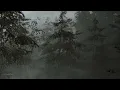 Silent Hill 2 | The Forest Trail | Ambient Soundscape