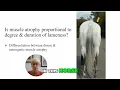 Neurogenic Muscle Atrophy in Horses: Diagnosing Gait and Nerve Dysfunction