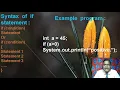 Decision making statement if statement in Java for class 8 by Dinesh Albert Ch 4 Program Coding