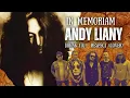 Download Lagu Andy Liany - Bukan Itu (Respect Cover)