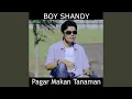 Download Lagu Pagar Makan Tanaman