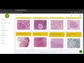 How to use the VM platform