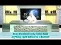 Download Lagu Does the dead body feel or hear anything after death and before burial? - Sheikh Assim Al Hakeem