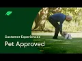 TruGreen Lawn Care Reviews Is TruGreen Pet Safe