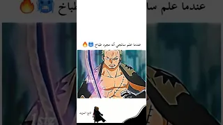 فخامة زورو ون بيس انمي 