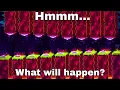 Spider Orb Experiments Geometry Dash 2 2 Beta