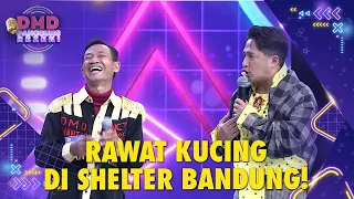 ibu peri nyata nita thalia rawat kucing di shelter bandung dmd panggung rezeki