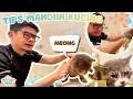Tips Dan Trik Memandikan Kucing Ala Ayah 🐱🛀