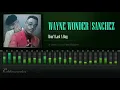 Lagu Wayne Wonder \u0026 Sanchez - Won't Last A Day (A Love I Can Feel Riddim) [HD]