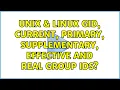 Unix Linux GID current primary supplementary effective and real group IDs 3 Solutions