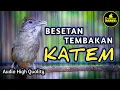 Download Lagu KAPAS TEMBAK GACOR TEMBAKAN DAN BESETAN PANJANG AUDIO KERNIH COCOK UNTUK MASTERAN MURAI BATU PASTOL