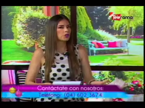 Cuidado de mascotas por fiestas fin de ano