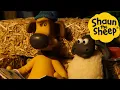 Download Lagu Shaun the Sheep 🐑 Timmy Story Time - Cartoons for Kids 🐑 Full Episodes Compilation [1 hour]