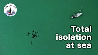 Sailing Mexico: DOLPHINS AND DESERTED ISLANDS in the Sea of Cortez: Ep.23