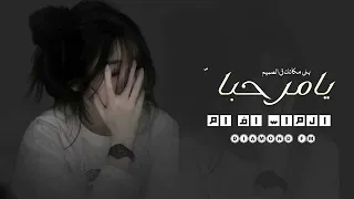 يامرحبا ياللي مكانك بالصميم     اغنيه ترند توتوك         كيك وعسل   عبدالعزيز بن سويدان   دندنها