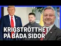 Download Lagu Edwardsson: Chansen till fred större än på fyra år