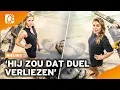 Download Lagu Roos Dickmann wilde Twan Kuyper voor de bus gooien in Expeditie Robinson | RTL Boulevard