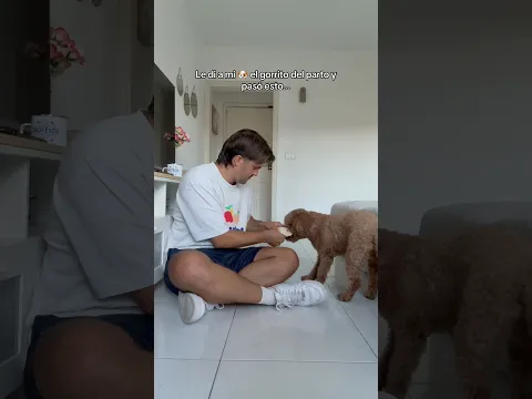 Está deseando conocerla 🥹🐶👶🏼 #bebe #parto #puppy