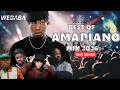 Lagu AMAPIANO MIX 2025 VOL202 | DJ WEBABA